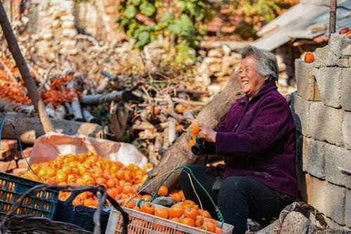 沂南吃瓜事件,一场网络热议背后的真相与反思