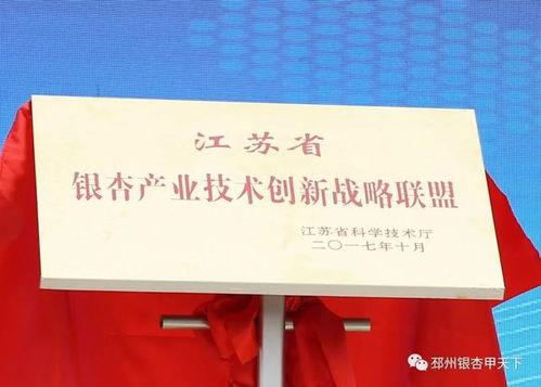 邳州银杏今日头条,金秋时节，千年古树绽放新颜，探寻银杏文化之旅