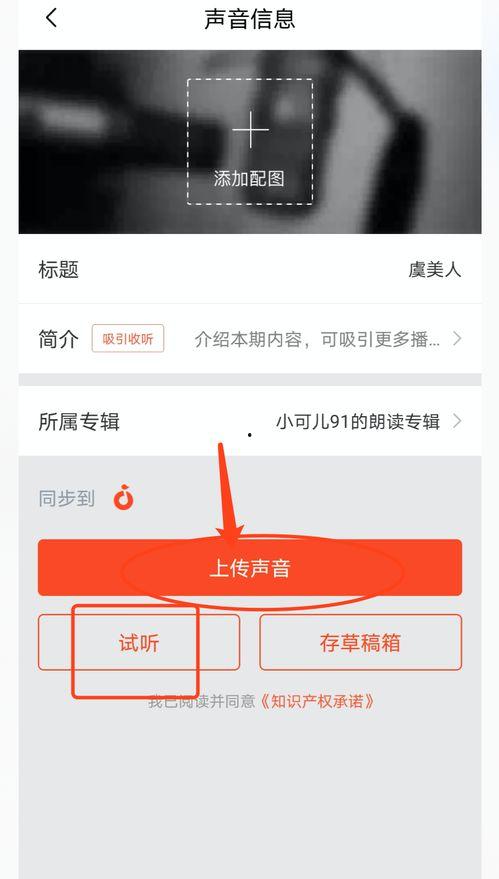 头条音频咋样,如何打造引人入胜的概述文章副标题