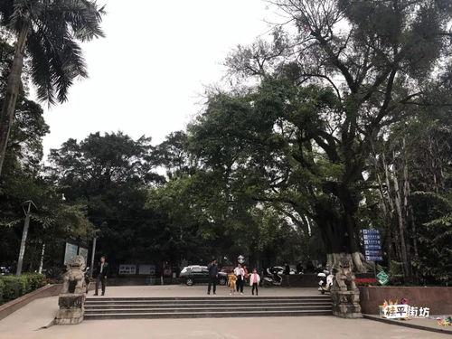 桂平网红公园名单最新,最新名单揭晓，打卡圣地大揭秘！