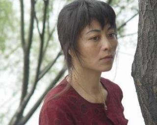 电视剧满天星在线观看,星光璀璨的青春追梦之旅