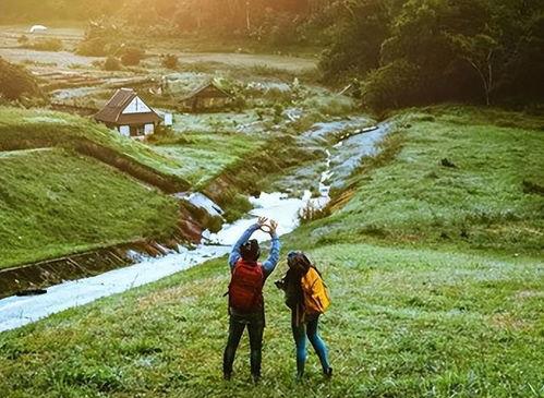 新疆旅游网红爆料视频,网红视频揭秘绝美风光与独特风情