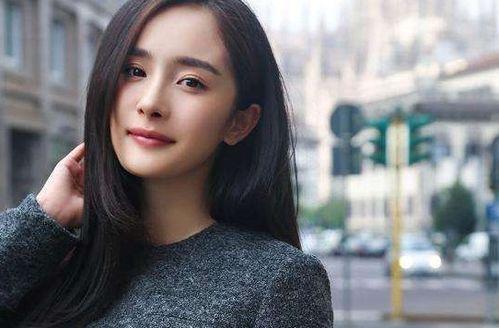 明星黑粉计划,网络暴力背后的黑暗真相