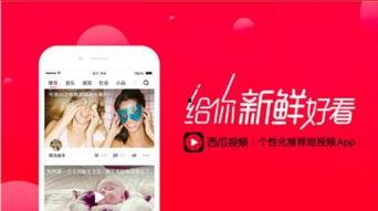 头条西瓜视频原创申请,轻松开启内容创作新篇章