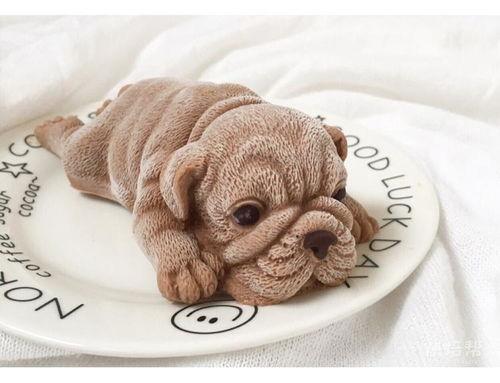 网红沙皮狗做法,萌宠界的“网红制造机”揭秘