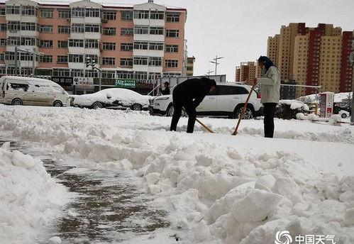 今日头条阳春大雪图片,捕捉冬日里的诗意瞬间