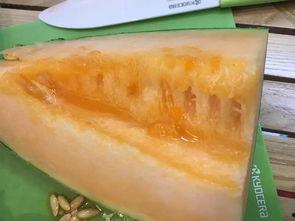 柳州打架吃瓜,吃瓜群众围观打架事件