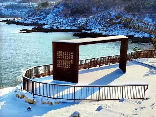 威海网红大海的身世,从渔村少年到海洋文化传播者