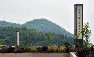 江西安溪西坪新闻头条,探寻江西古村落的新时代发展足迹