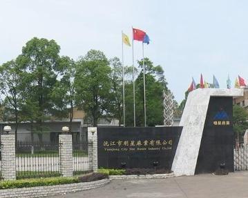 沅江市明星,璀璨星河中的璀璨明珠