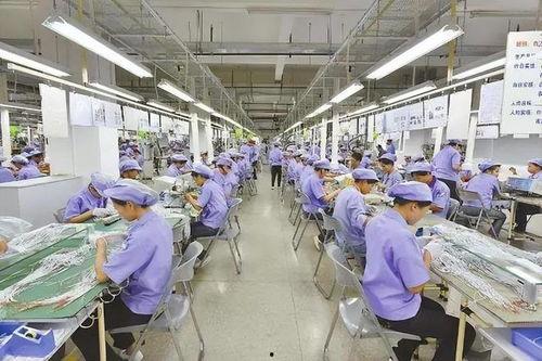 桐乡网红电子厂招聘,高薪诚邀，共创智能未来