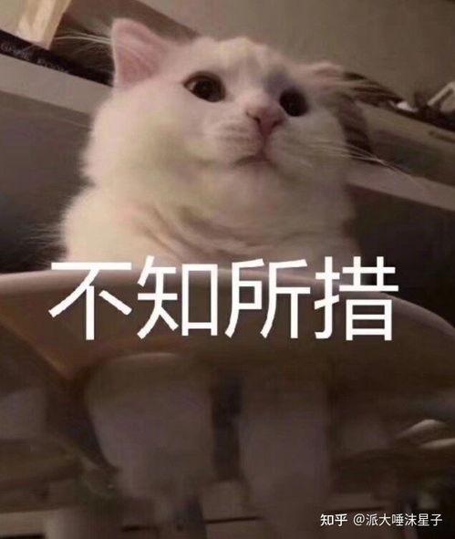 为什么吃瓜没事,为何围观事件无伤大雅？