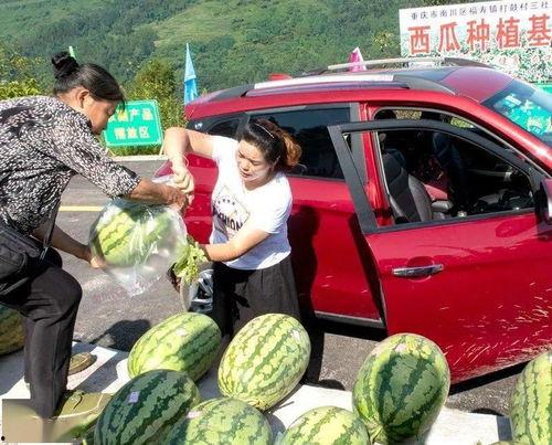 农村吃瓜群众,揭秘乡村生活百态
