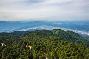 今日头条雅安绿水青山,探寻生态宜居的美丽画卷”