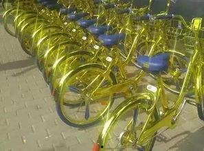 浙江的共享经济 吃瓜