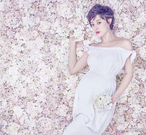 明星们孕妇照片