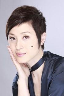 打嘴明星,娱乐圈的麻辣点评风云录