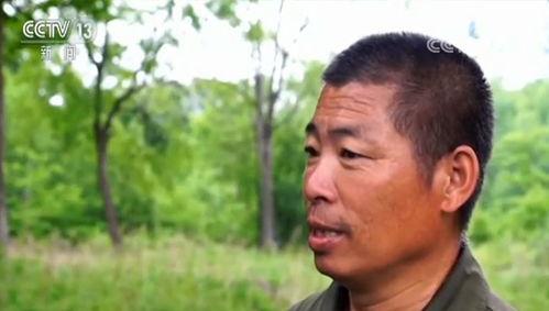 周海城网红,从网红到影响力人物，他的蜕变之路