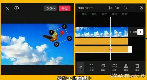 头条下载绿幕,从下载到成品，带你领略视觉盛宴