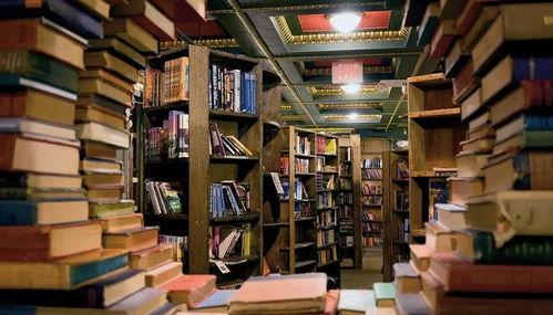 网红书店卖外卖,外卖服务引领阅读与美食新潮流