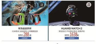 湛江今日头条小兰,小兰带你领略城市风采