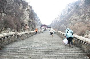 哪个明星爬过泰山,XXX的壮志豪情之旅