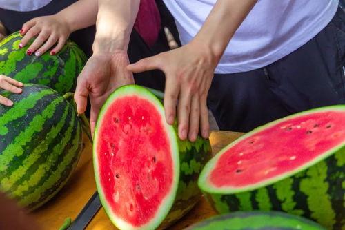 苏州学校吃瓜,揭秘校园吃瓜盛况