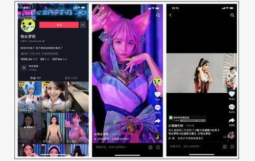 网红的爆料视频大全集,揭秘娱乐圈幕后真相