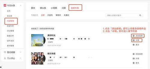 今日头条能加音频吗,轻松添加音频丰富内容！