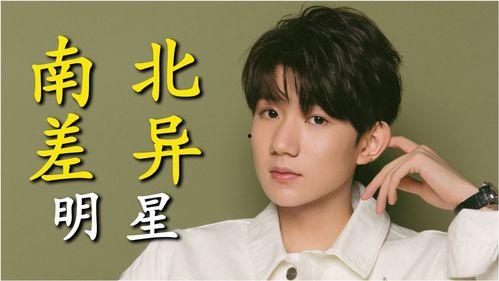 明星的南北文化比较,南北明星文化差异对比概览