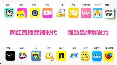 网红聚集直播的词语,汇聚人气与商业价值